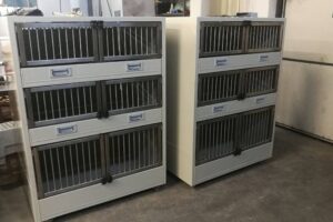 20220916210200_mvzxrud1u14fyhcn5kyi8pqy0ibcofu9_img_20210126_150032